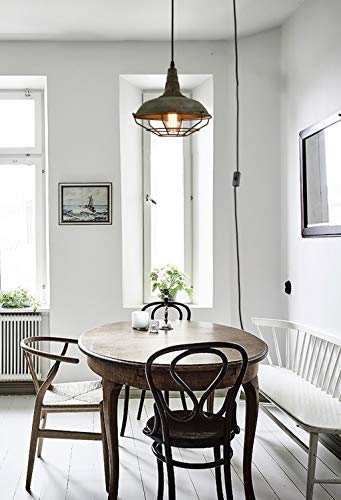 DANSEER-Farmhouse-Plug-in-Pendant-Light-with-16-Feet-Hanging-Cord-Hanging-Lighting-Fixture DANSEER Farmhouse Plug in Pendant Light with 16 Feet Hanging Cord Hanging Lighting Fixture