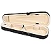 IUPPA Professional 4/4 Full Size Violin Triangle Shape Case Box Hard & Super with Shoulder Straps Beige