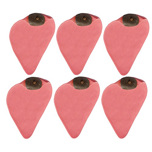 CLETO REYES Natural Latex One Valve Speed Bag Bladder - 6 Pack