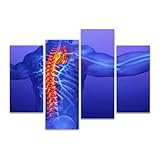 Canvas Wall Art Painting Pictures Human Spine musculatures and Pictures Modern Artwork Framed Posters for Living Room Ready to Hang Home Decor 4PANEL
