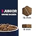 Eukanuba Hundefutter mit frischem Huhn für große Rassen, Premium Trockenfutter für Junior Hunde, 15 kg