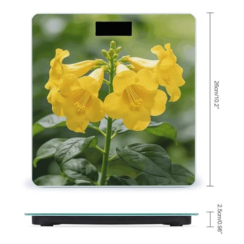 Báscula Digital de Baño Amarilla Body Weight Scale miniatura 2