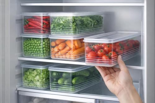 HomeWiz Noodle Container (Pack of 6) | Freezer Safe Food Storage Boxes with Lid | Stackable Plastic Kitchen Containers for Noodles, Pasta, Leftovers & Meal Prep | Refrigerator Organizer