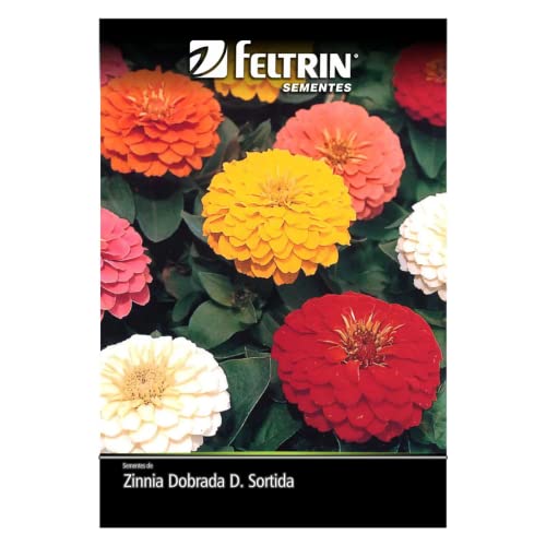 Kit 4 Sementes Flores Jardim Em Casa (Amor Perfeito, Tagetes, Boca de Leão, Zínia)