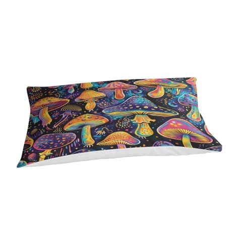 Parure de lit qualité hôtelière microfibre ultra douce 3 pièces lit simple