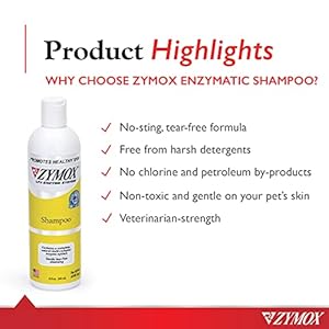 Zymox Enzymatic Shampoo for Dogs and Cats 12oz  Cucciolini Doodles Zymox enzymatic shampoo for dogs and cats 12oz   cucciolini doodles