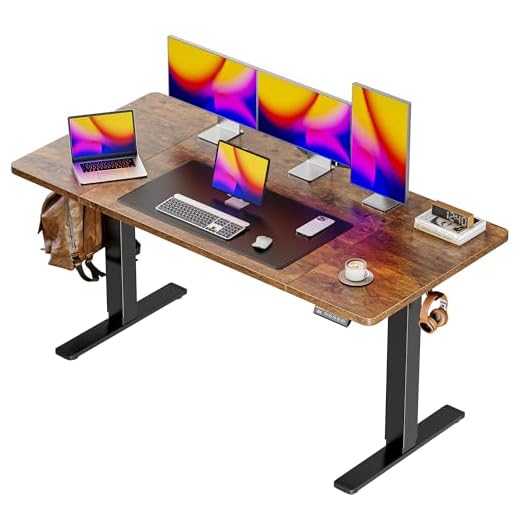 Huuger Adjustable Electric Standing Desk