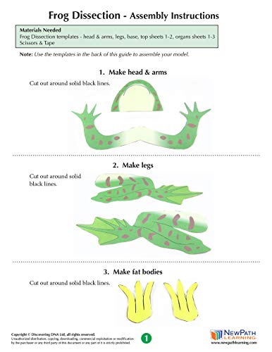 NewPath Learning Frog Dissection 3-D Model Making Kit, Set/5 Full-Color, Paper Model Templates & Teacher Guide (24-7722) - Thumbnail 3