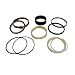 Stevens Lake Parts One New Cylinder Seal Kit Fits Case 590 Super M Models Interchangeable with 297895A1, 297895A1-A