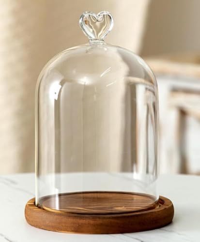 Tuyiutm �A���e�B�[�N�E�b�h�̑�����t���������K���X�h�[���^�u�[�P�{�b�N�X�B�L�����h���z���_�[�B���a12cm�A����16cm�B�����K���X�J�o�[�t���B�嗝�΂̑�����t�����a���̍���t���L�����h���B�Q���A�C���e���A�A�h���C�t�����[�A�V�i�����A�ƒ�p�A�N���X