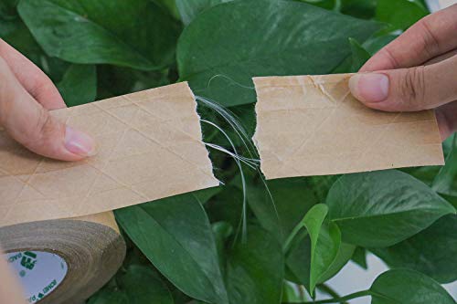 BOMEI PACK Nastro di carta rinforzato, ecologico