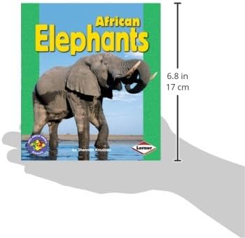 ELEPHANT 2冊 Elephants - Jump! Inc.