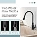 APLusee Kitchen Faucet Spray Head Pull Down, 2 Modes Sprayer Head Nozzle, Pull Out Sink Replacement Part, Matte Black