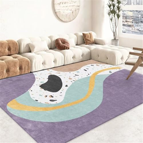 Tapis lavable pour salon et chambre : la solution design et facile à nettoyer