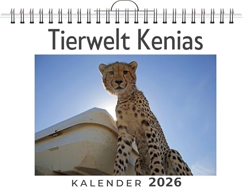 Tierwelt Kenias: (Wandkalender 2026, Kalender DIN A4 quer, Monatskalender im Querformat mit Kalendarium, das perfekte Geschenk)