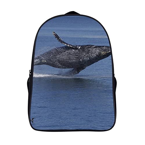 Sac d'école ado grand volume avec motif baleine 3D et bretelles confort