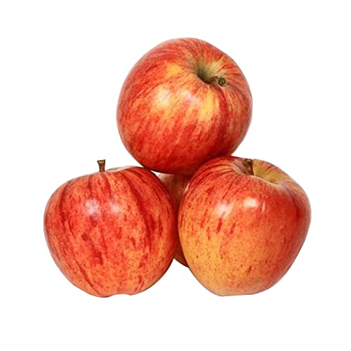 Apple Royal Gala Portugal 1 kg Approx.