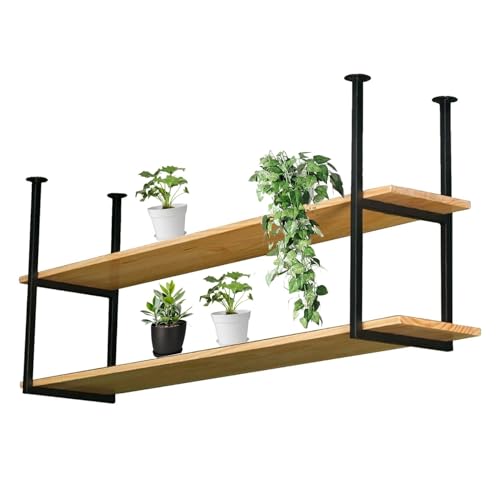 AYVADA Estantes flotantes para Plantas, Soporte para macetas, Estante de Madera Negra para Colgar en el Techo, Estante Decorativo de Hierro y Metal para Dormitorio, Cocina, Sala de Estar, Oficina (