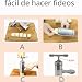 Imagen de CHSEEO Máquina para pasta fresca de acero inoxidable cortador de pasta fideos máquina prensa puré de verduras fruta aparato para pasta preparado perfecto espaguetis o Fettuccine #4