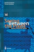 Seeing Between the Pixels: Pictures in Interactive Systems