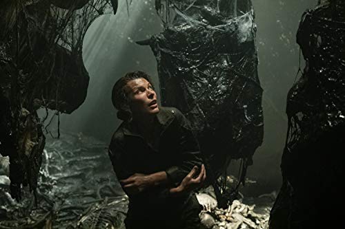 Monster Hunter 4K Ultra-HD [Blu Ray]