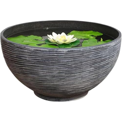 [otoye]  ^ O _J  vX`bN̖͑ @ y ɂ  _J A  r   vX`bN ^Aؔ O A (MF40*38*19.5cm,B) (B,MF40*38*19.