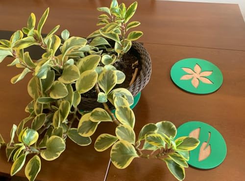 03 TAPETINHOS MISTOS ABSORVENTE PARA VASOS PLANTAS 15-20-25 CM