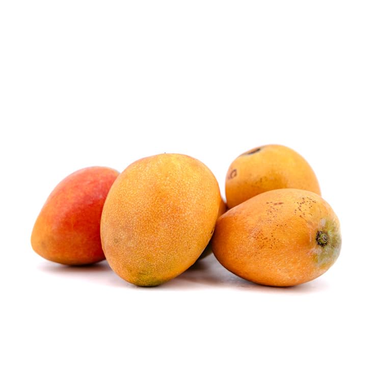 Mini Mango Irwin 1 kg, La Parcela, Origen España, Andalucía (Costa Tropical), Comprar Mango Fresco, De La Huerta A Tu Casa, Producto de Cooperativa Granada La Palma