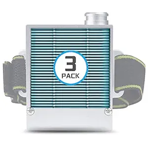 3 Pcs Replacement Filters for Mask Host (WDK-FB1 WDK-AM1)