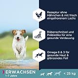 Eukanuba Hundefutter getreidefrei mit Fisch für kleine und mittelgroße Rassen - Trockenfutter für ausgewachsene Hunde, 12 kg