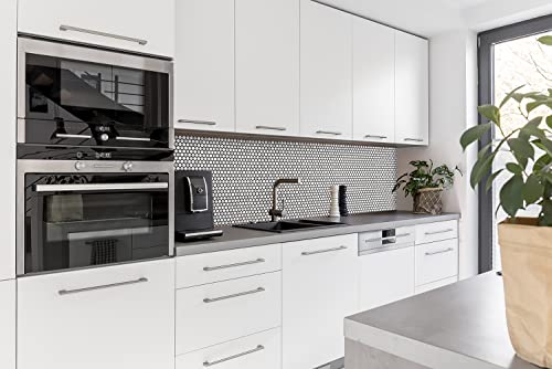 Blujellyfish Silver Penny Round Tile Stainless Steel 3/4" Mosaics For Kitchen Bathroom Accent Wall Backsplash Shower Floor (Box Of 5 Sheets) #TOP5