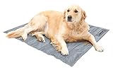 Comfort Cooling Gel Pet Pad Mat in Large 20”x36”, for Large Pets (Silver)