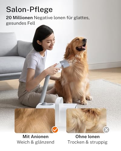 HomeRunPet Hundefön Ultraleiser 43dB&120m/s Hundetrockner Schnelltrocknend – Ansicht 6