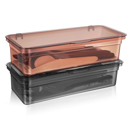 VERDANVERSE 2 pezzi Scatola portaoggetti per posate, con coperchio, organizer da cucina, in plastica trasparente, pratica per scolare e utensili eleganti per