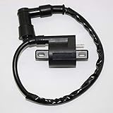 bobina de alta para moto 110 Accesorios de motos Generador, resistente al desgaste, accesorios de motocicletas, práctico