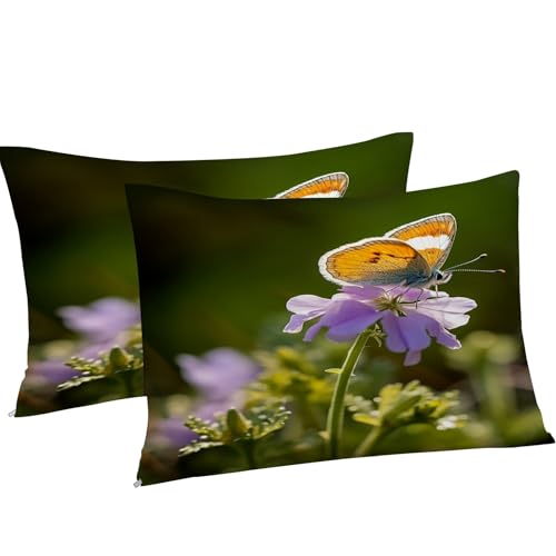 Housse de Couette 160x200 zippée facile à border pour lit double - 5