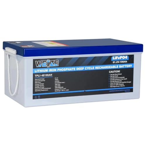 WEIZE 48V 100Ah LiFePO4 Lithium Battery, 5120Wh Built-in