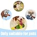 GXGM 2 Stück Hunde Plüschspielzeug Realistische Zigarren Und Sekt, Spielzeug Hund, Lustiges Hundespielzeug Aus Plüsch Quietschendes Hundespielzeug Für Mittelgroße Kleine Und Große Hunde