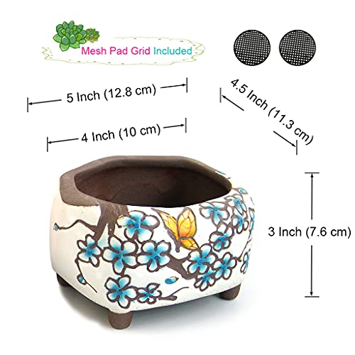 Summer Impressions Succulent Pots 5 Inch Hand Painted Cactus Plant Pot Clay Pot Flower Pot Planter Container With Drainage Hole Pack Of 2 (Blossom Blue And Red) #TOP3