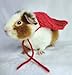 Handmade Crochet Guinea Pig Capes l Pet Superhero Capes, Small Pet Cape, Bunny Cape, Chinchilla Cape, Small Pet Shawl, Small Pet Clothes (Red)