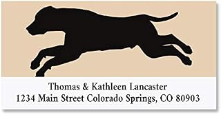 Black Lab Return Address Labels - Set of 144 1-1/8" x 2-1/4" Self-Adhesive, Flat-Sheet Labels, by Colorful Images