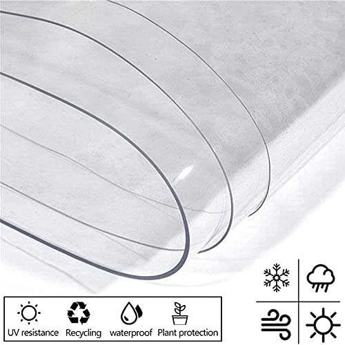 Panneau imperméable en PVC transparent 5,6x2,7m avec œillets