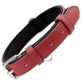 Diseño Práctico: Lleva una etiquetas de identificación por lo que puede colocar cualquier identificación de mascota, identificación médica y otros encantos con facilidad. También tiene un anillo en forma de D grueso en el collar para un accesorio de correa correspondiente.