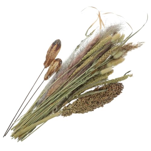 Ramo de Pasto Pampas Seco Natural para Decoración Boho