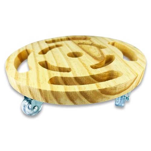 Suporte Vaso De Planta Redondo Rodinhas Cristal 25 Cm Claro