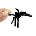 GOCROWN Black Small Realistic Hairy Plastic Fake Spiders Scary Joke Prank Toy for Party Favors Decoration, 16 Counts by