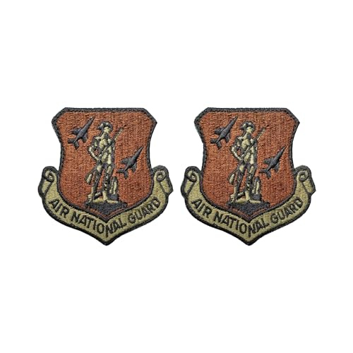 Air National Guard OCP Spice Brown Patch (PR)