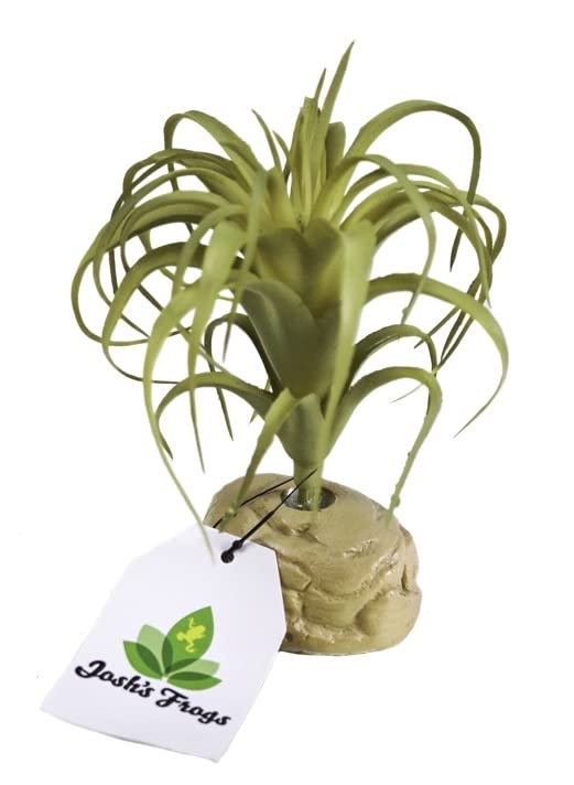 Josh's Frogs Arid Artificial Plants for Reptiles (Tillandsia)