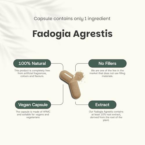 Cupplement Fadogia Agrestis Capsules 500 Mg 60 Vegan Capsules - Testosterone – Alternative To Tongkat Ali - 3