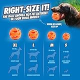 Chuckit! Air Fetch Hundespielzeug, Größe M, 6,3 cm Durchmesser, für Hunde von 9-27 kg, 2 Stück